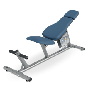 Ab Curl Bench