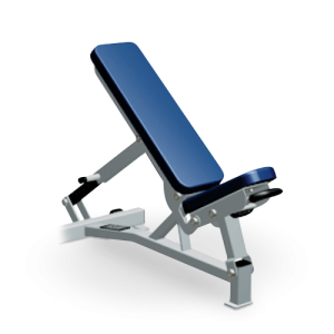 Adjustable Bench (Pro Style)