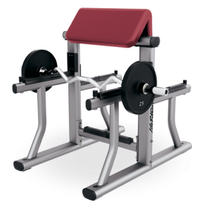 Arm Curl Bench