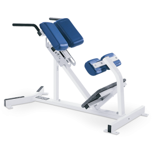 Back Extension