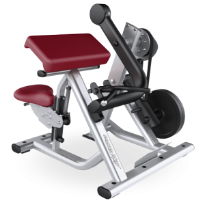 Biceps Curl