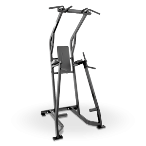 Chin/Dip/Leg Raise