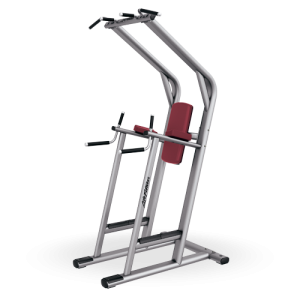 Chin/Dip/Leg Rise