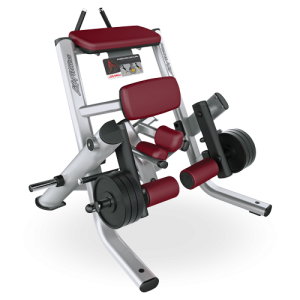 Kneeling Leg Curl