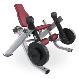 Leg Extension