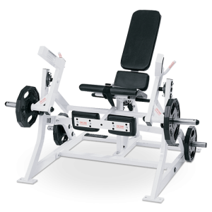 Leg Extension