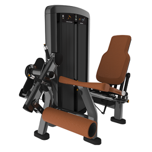 Leg Extension