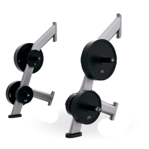 Olympic Bench Weight Storage