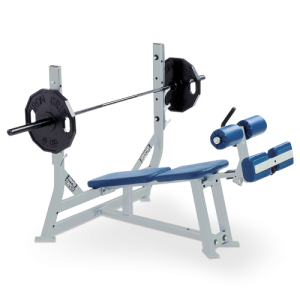Olympic Decline Bench