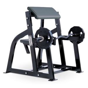 Seated Arm Curl