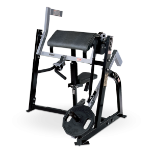 Seated Biceps
