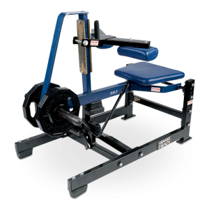Seated Calf Raise