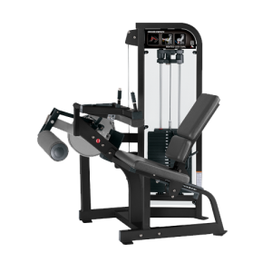 Seated Leg Curl