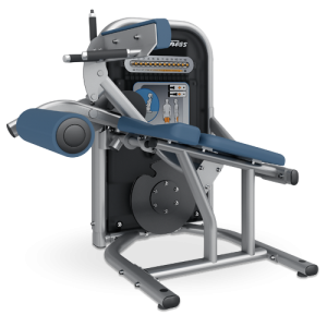 Seated Leg Curl