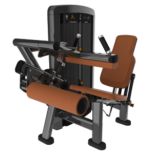 Seated Leg Curl