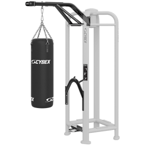 Boxing w/ Suspension Training