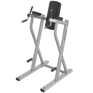 Dip/Leg Raise