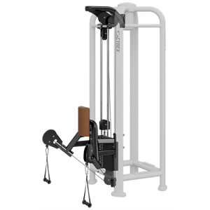 Dual Pulley Low