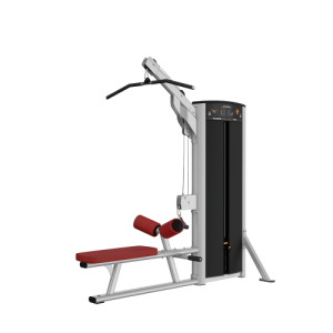 Lat Pulldown/Low Row