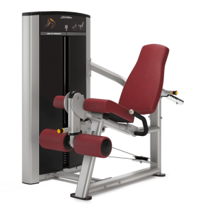 Leg Extension