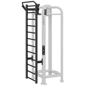 Stall Bars w/ Suspension Training