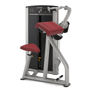 Triceps Extension