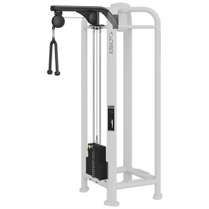 Triceps Pushdown