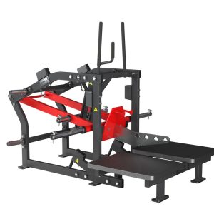 Belt Squat