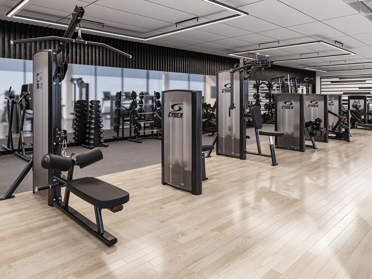 Cybex srbija