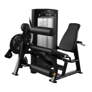 cybex ion seated leg curl extension